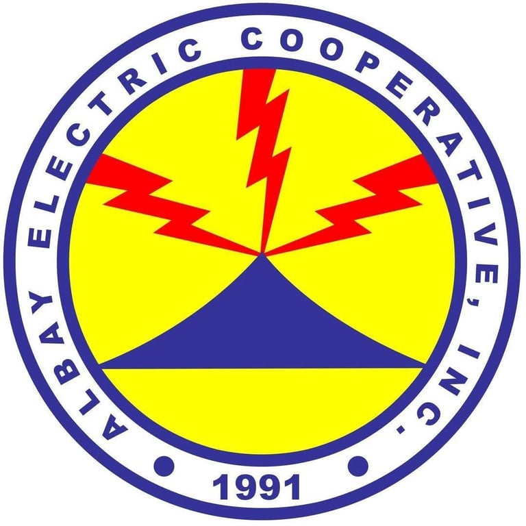ALECO privatization should be last resort, not first option